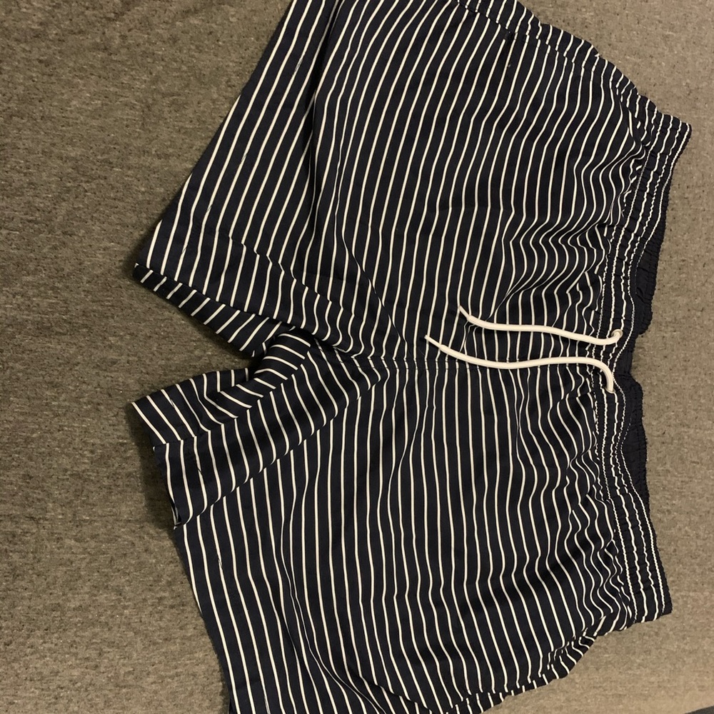 Blue Striped Men’s Swim Trunks